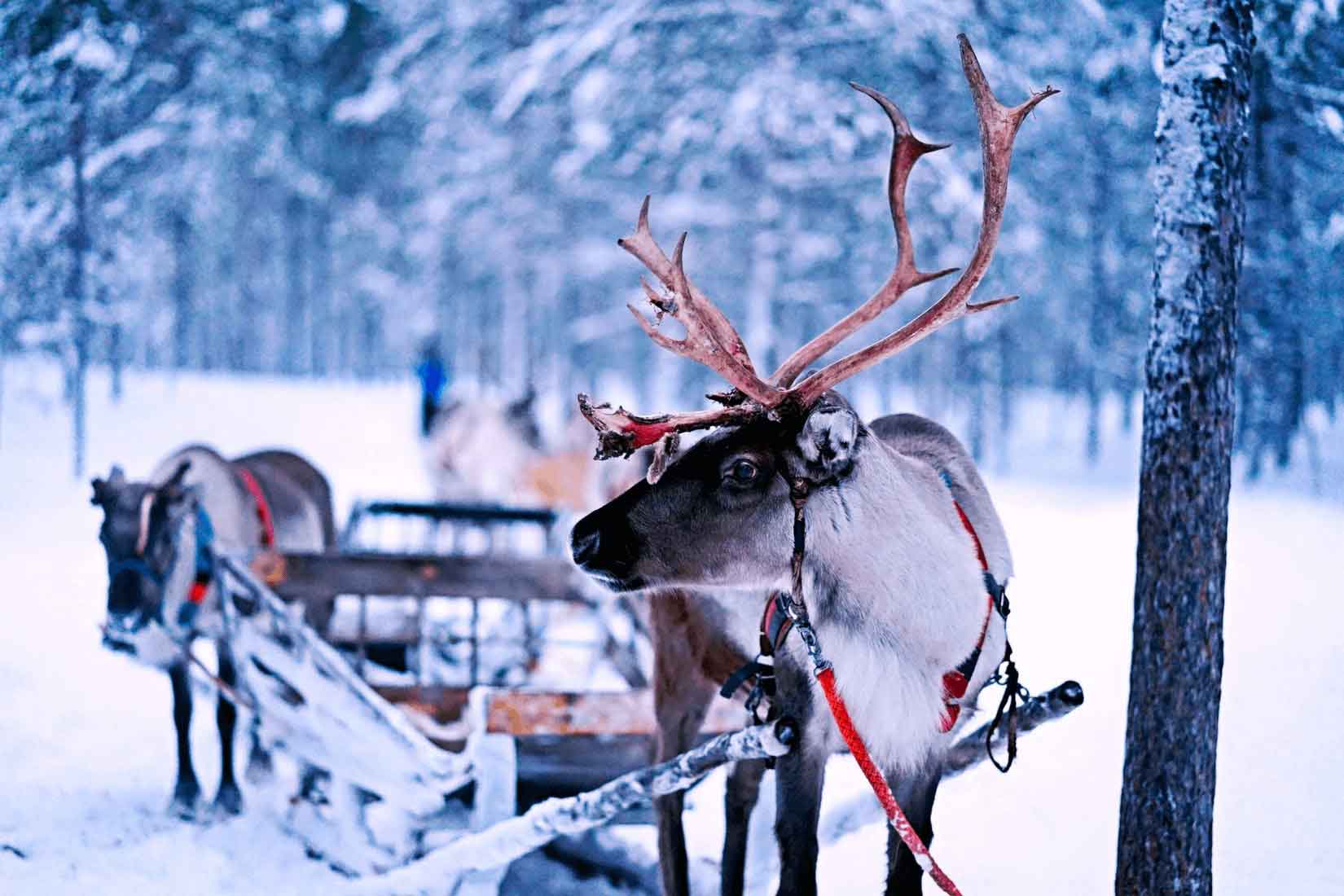 Kaggle: Traveling Santa 2018 - Prime Paths  